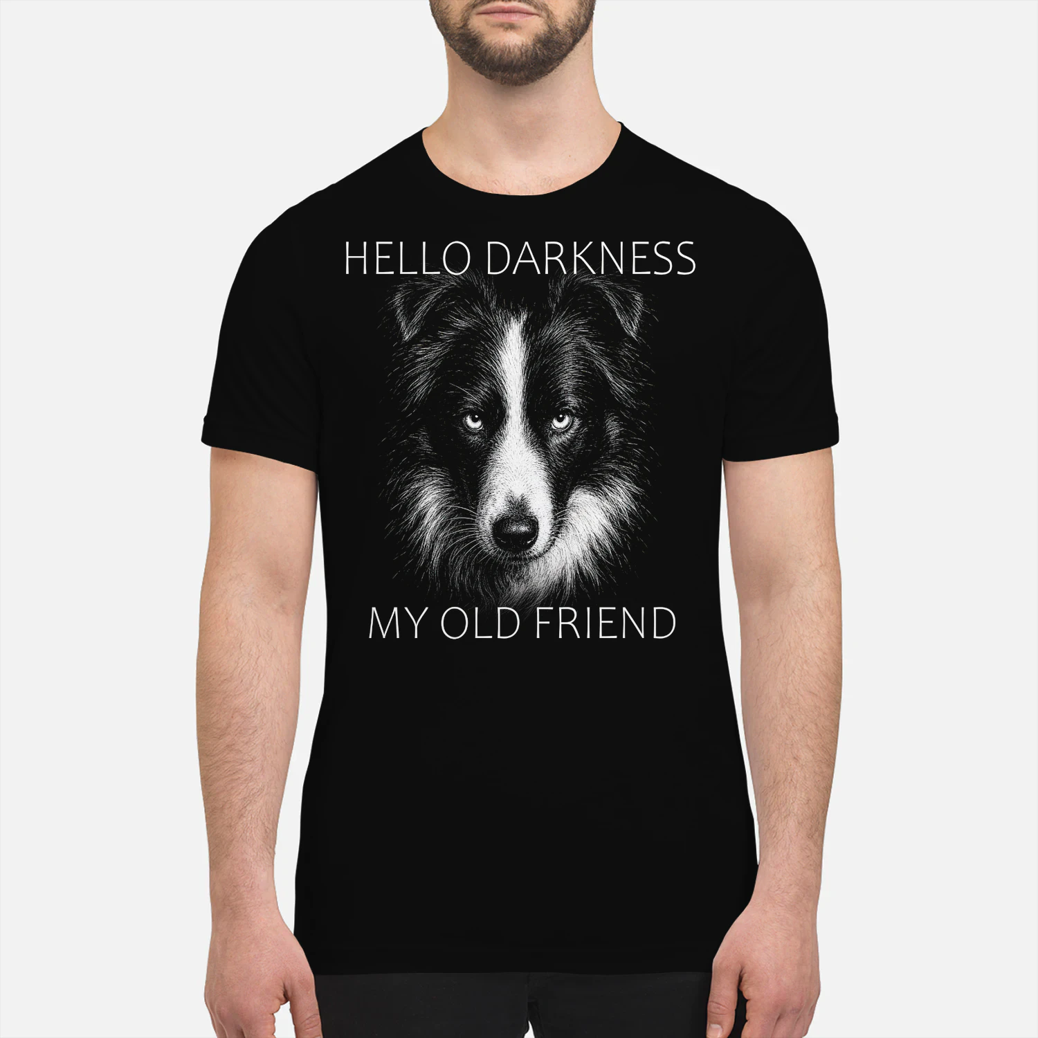 Border Collie Darkness