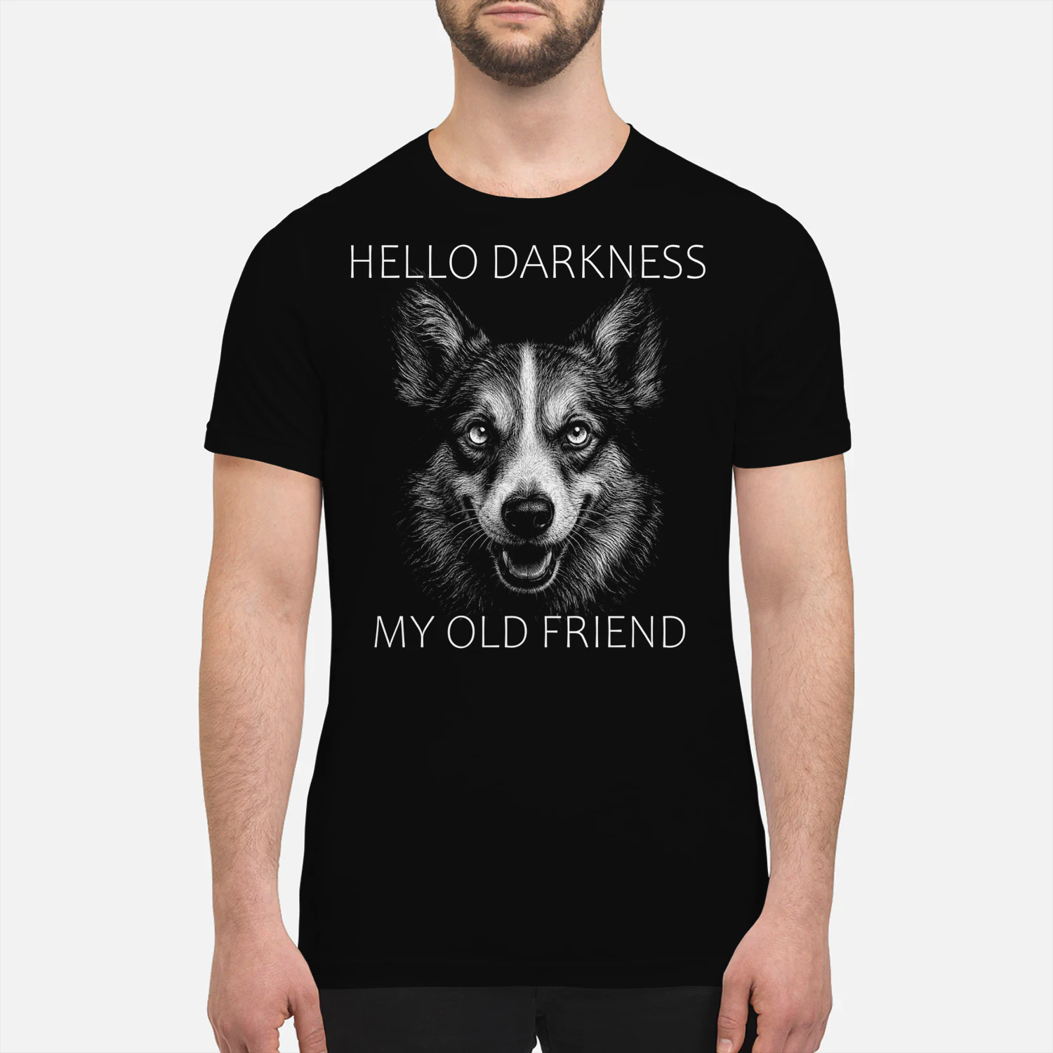 Welsh Corgi Darkness