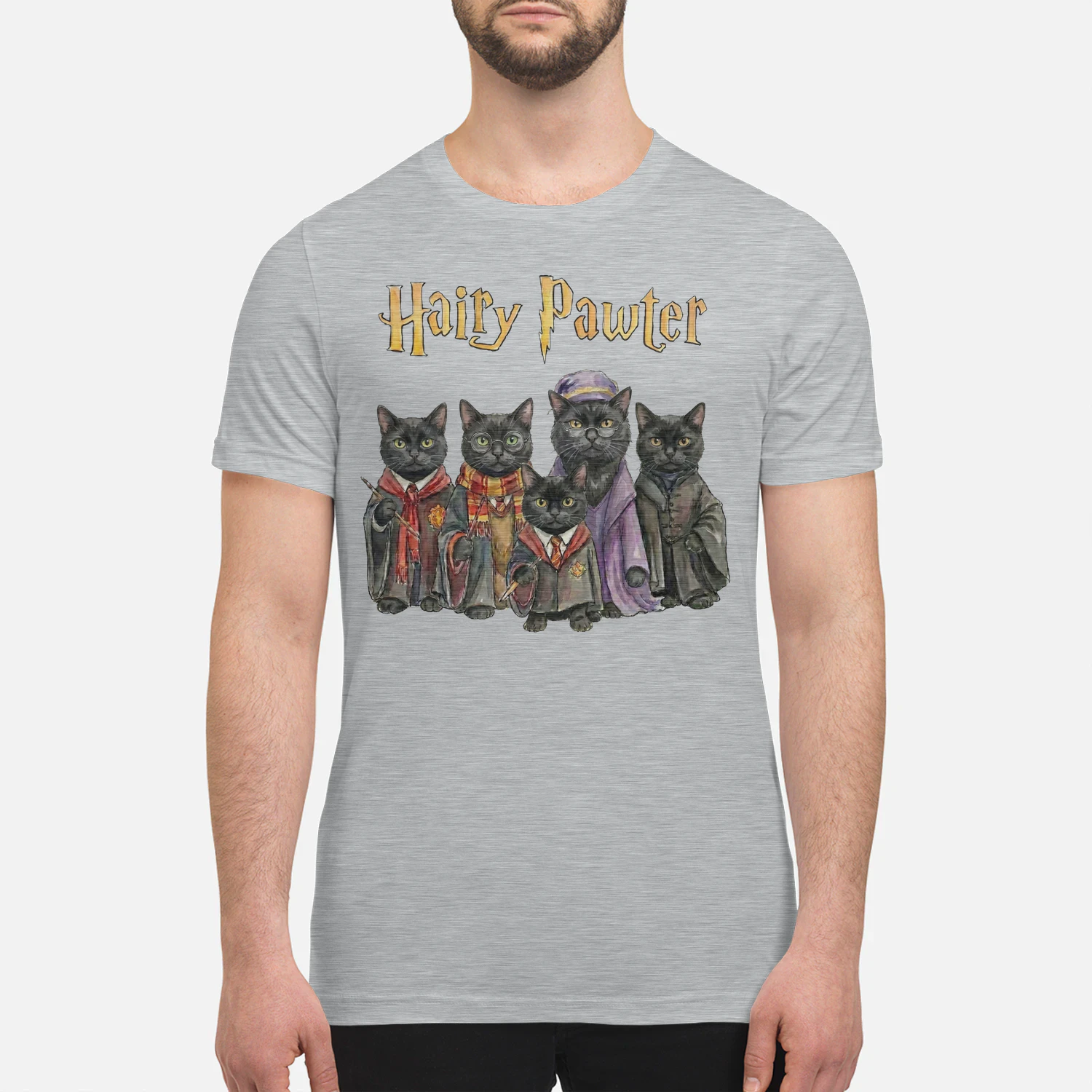 Black Cat Hairy Pawter