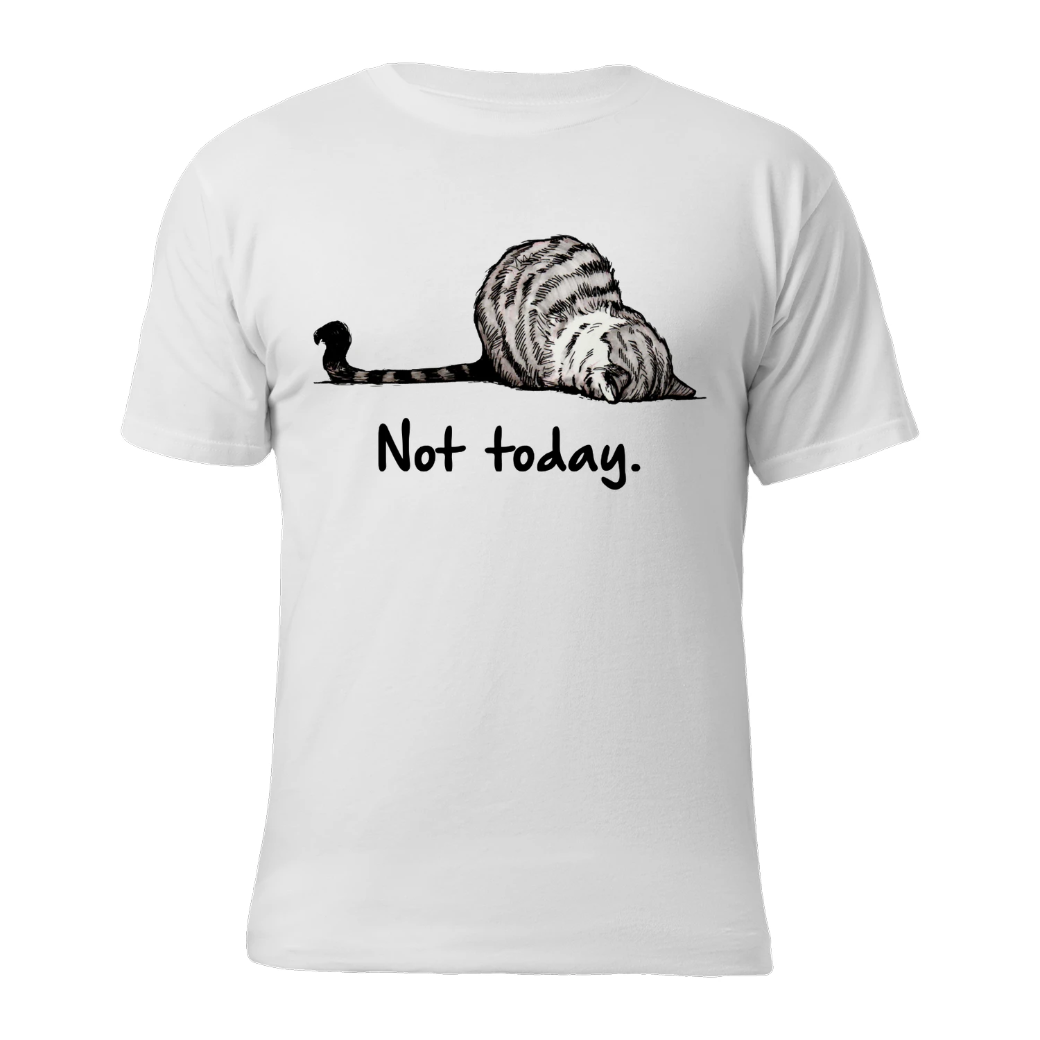 Cat Not Today