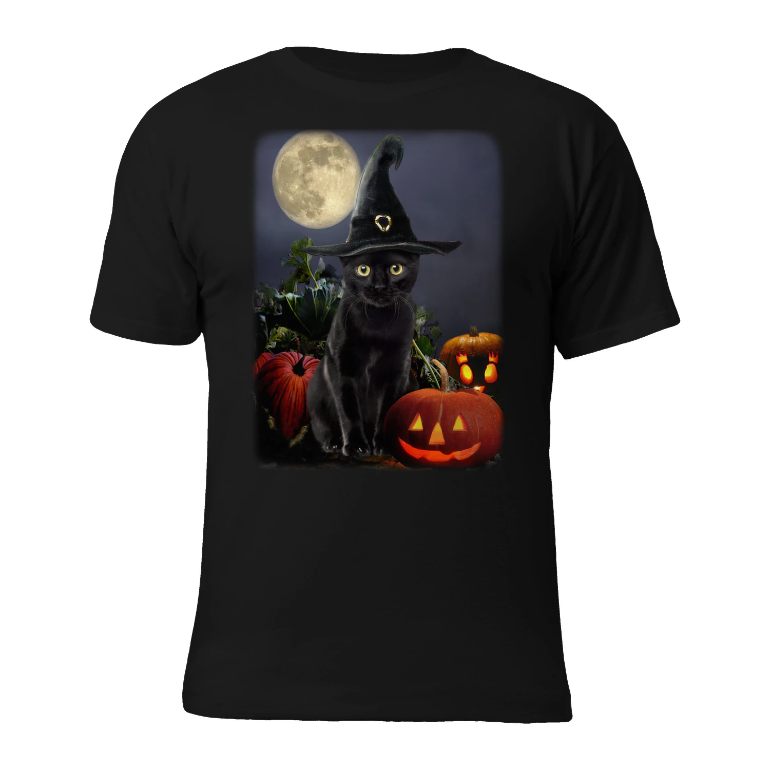 Cat Halloween