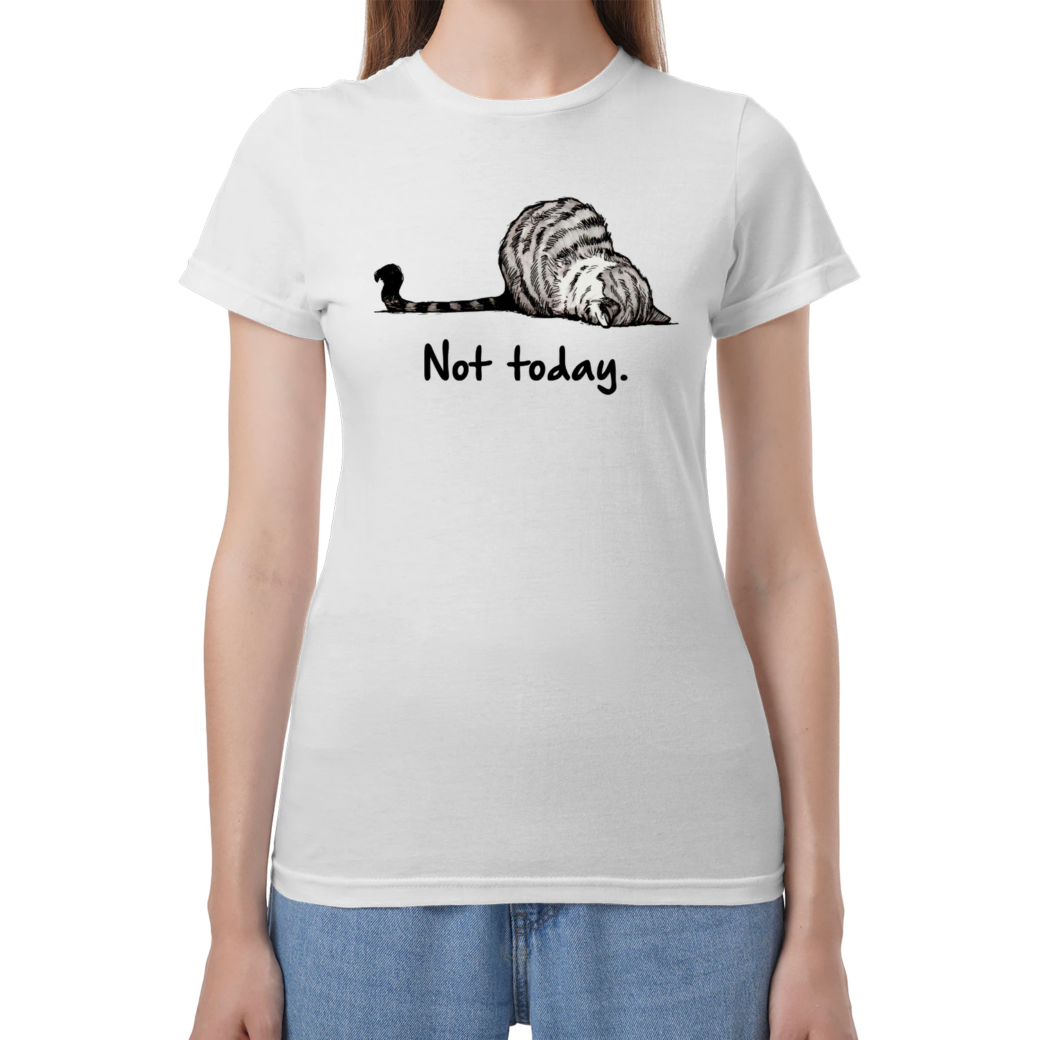 Cat Not Today