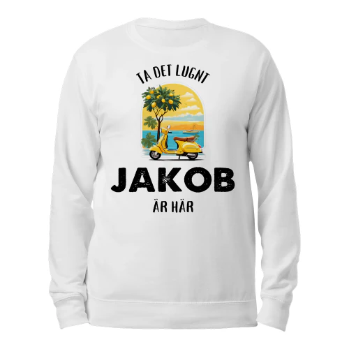 jakob-thuy12swe-701
