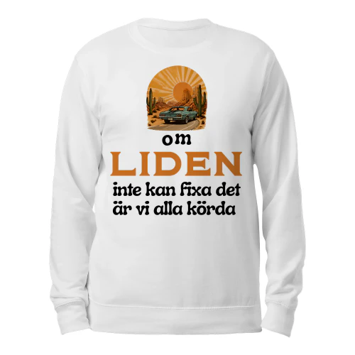 liden-thuy3swe-265
