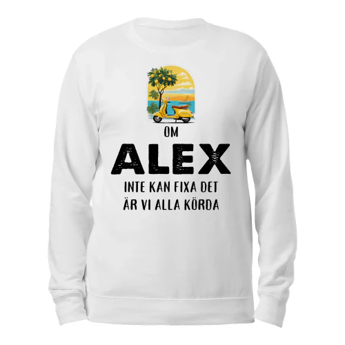 alex-thuy11swe-508