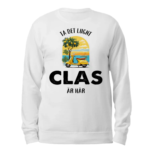 clas-thuy12swe-586