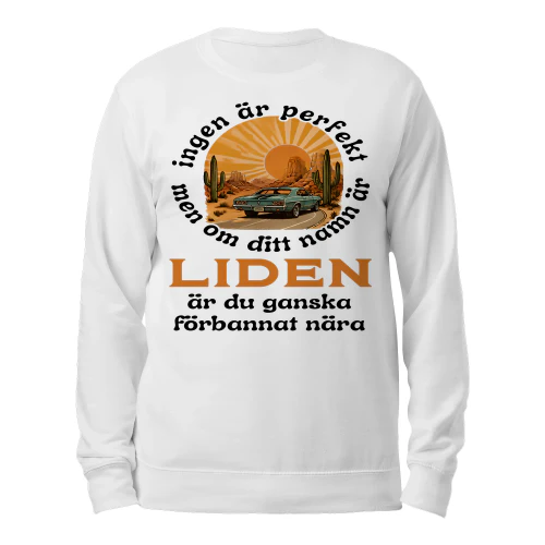 liden-thuy4swe-265