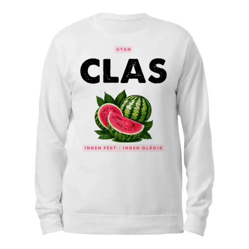 clas-thuy8swe-586
