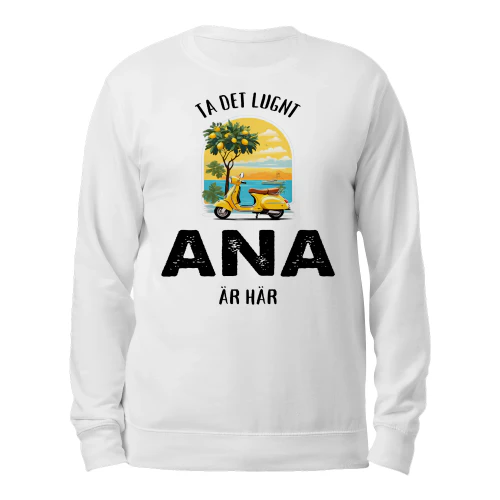 ana-thuy12swe-517