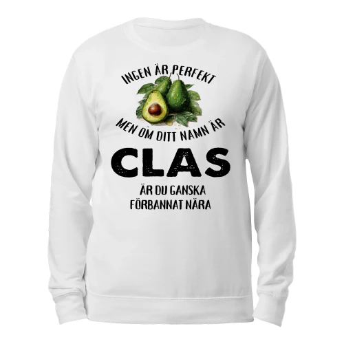 clas-thuy3swe-586