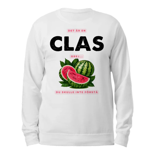 clas-thuy9swe-586