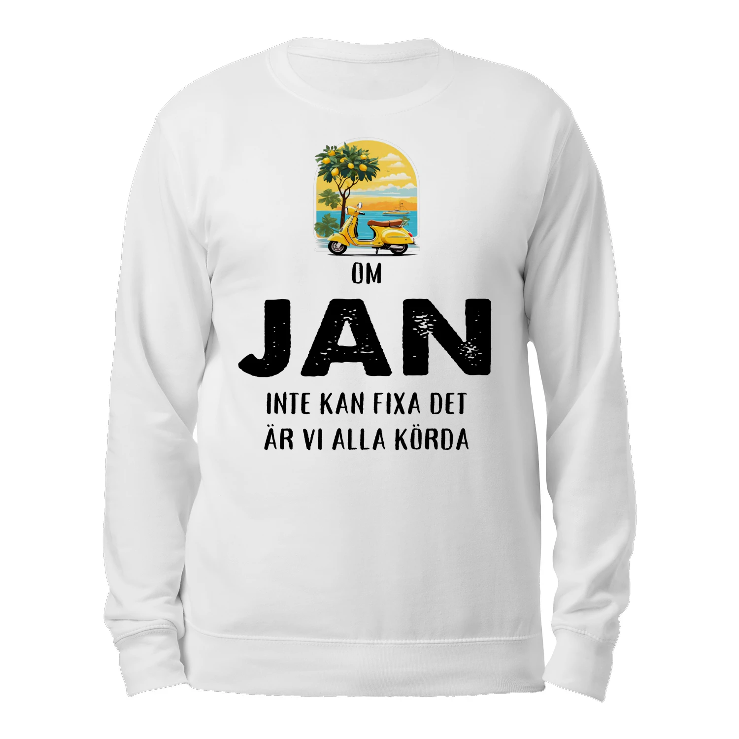 jan-thuy11swe-703
