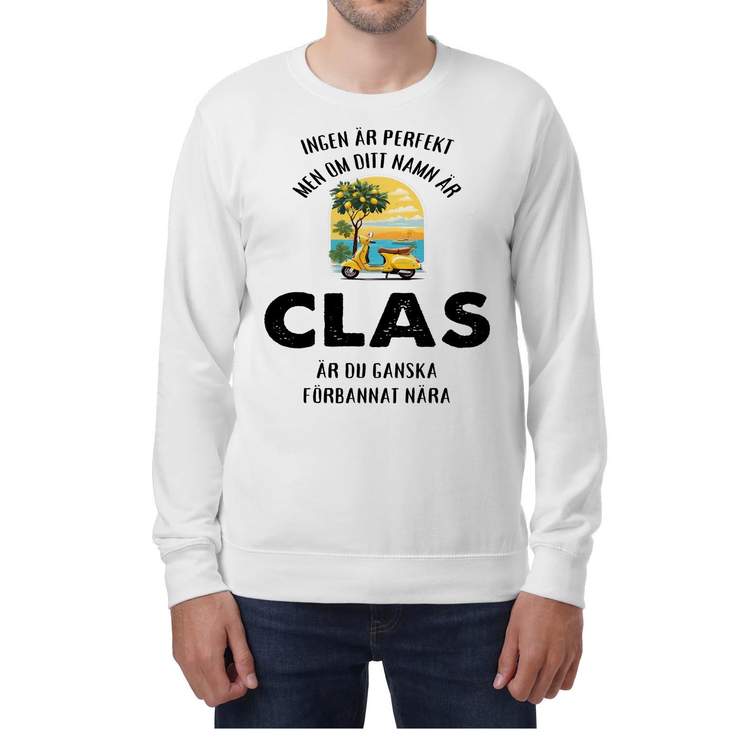 clas-thuy10swe-586