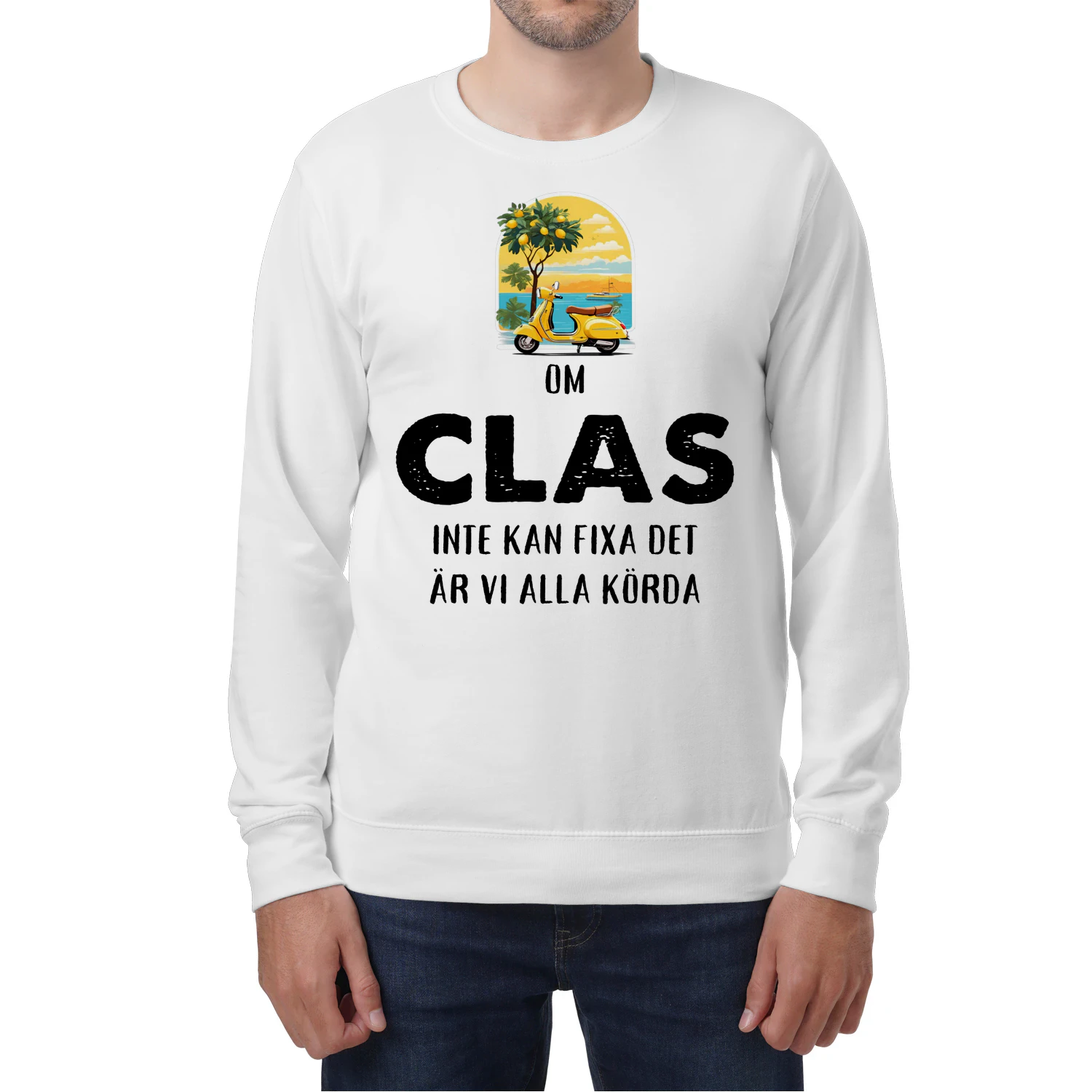 clas-thuy11swe-586