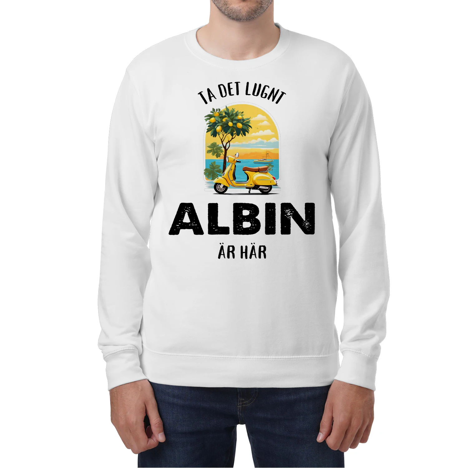 albin-thuy12swe-507