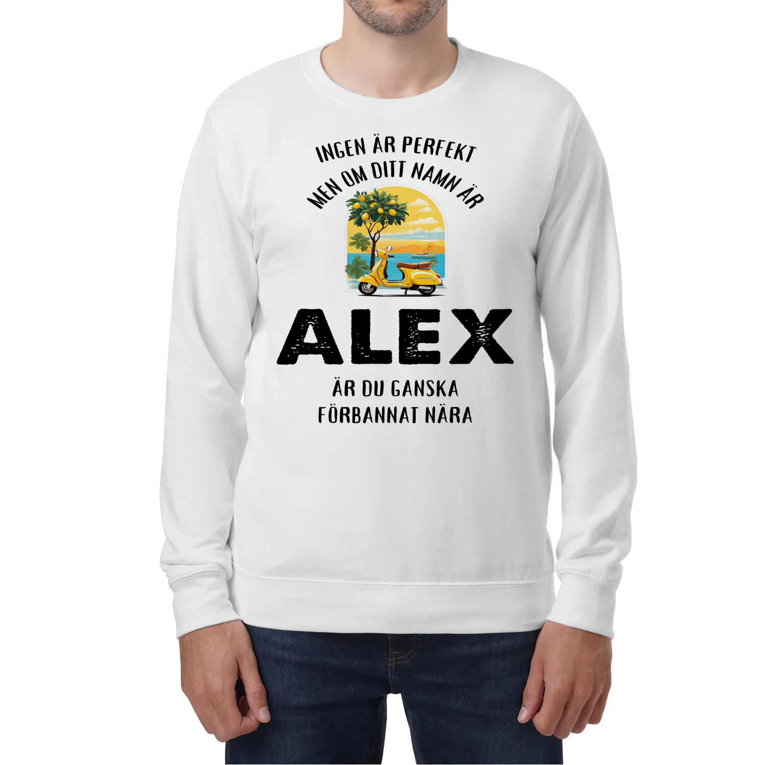 alex-thuy10swe-508
