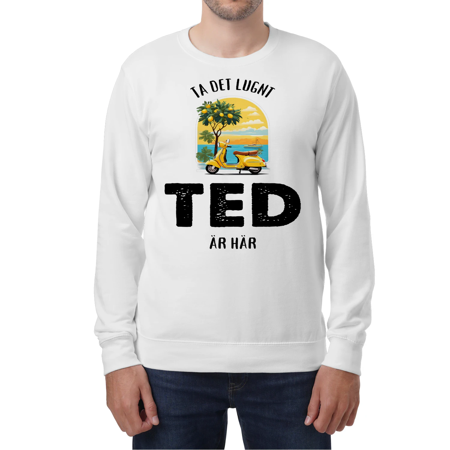 ted-thuy12swe-962