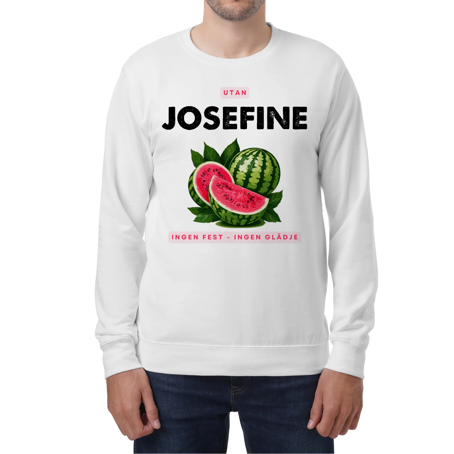 josefine-thuy8swe-737