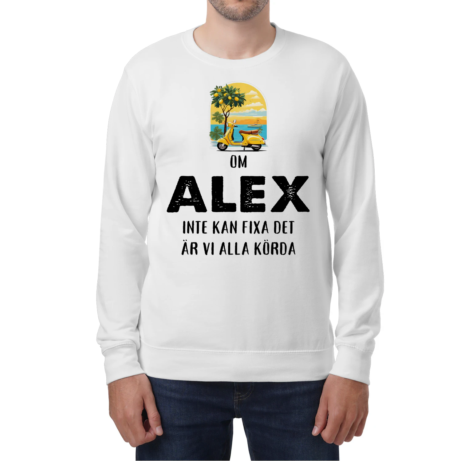 alex-thuy11swe-508