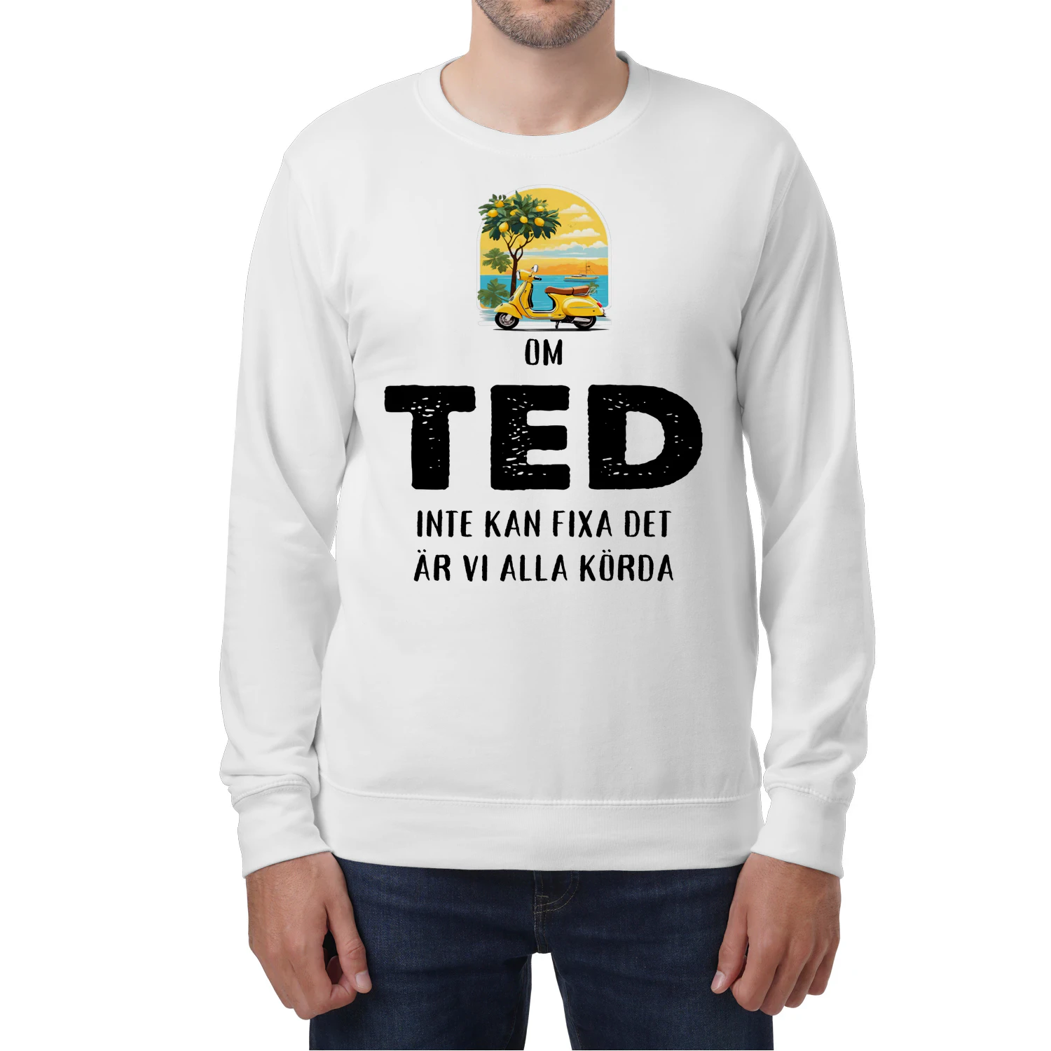 ted-thuy11swe-962