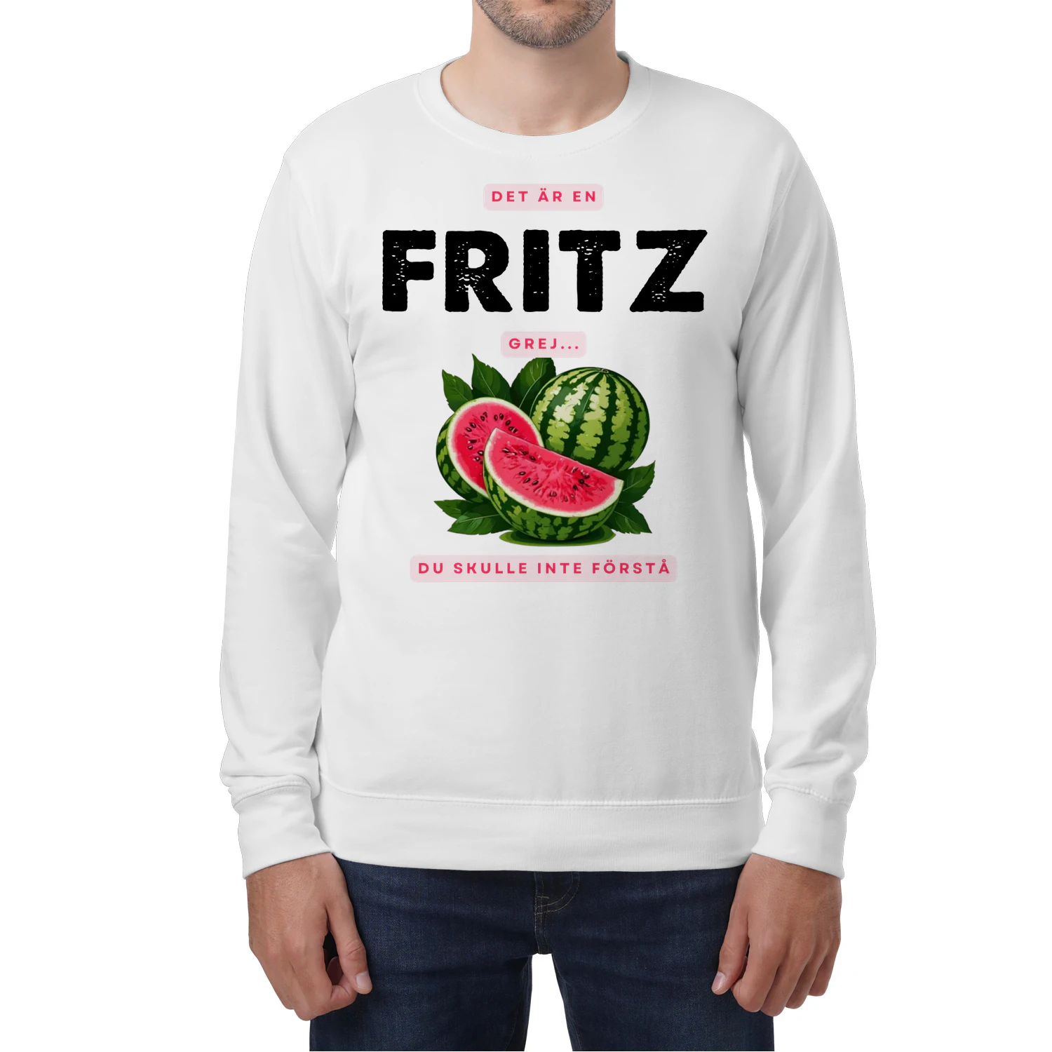fritz-thuy9swe-643