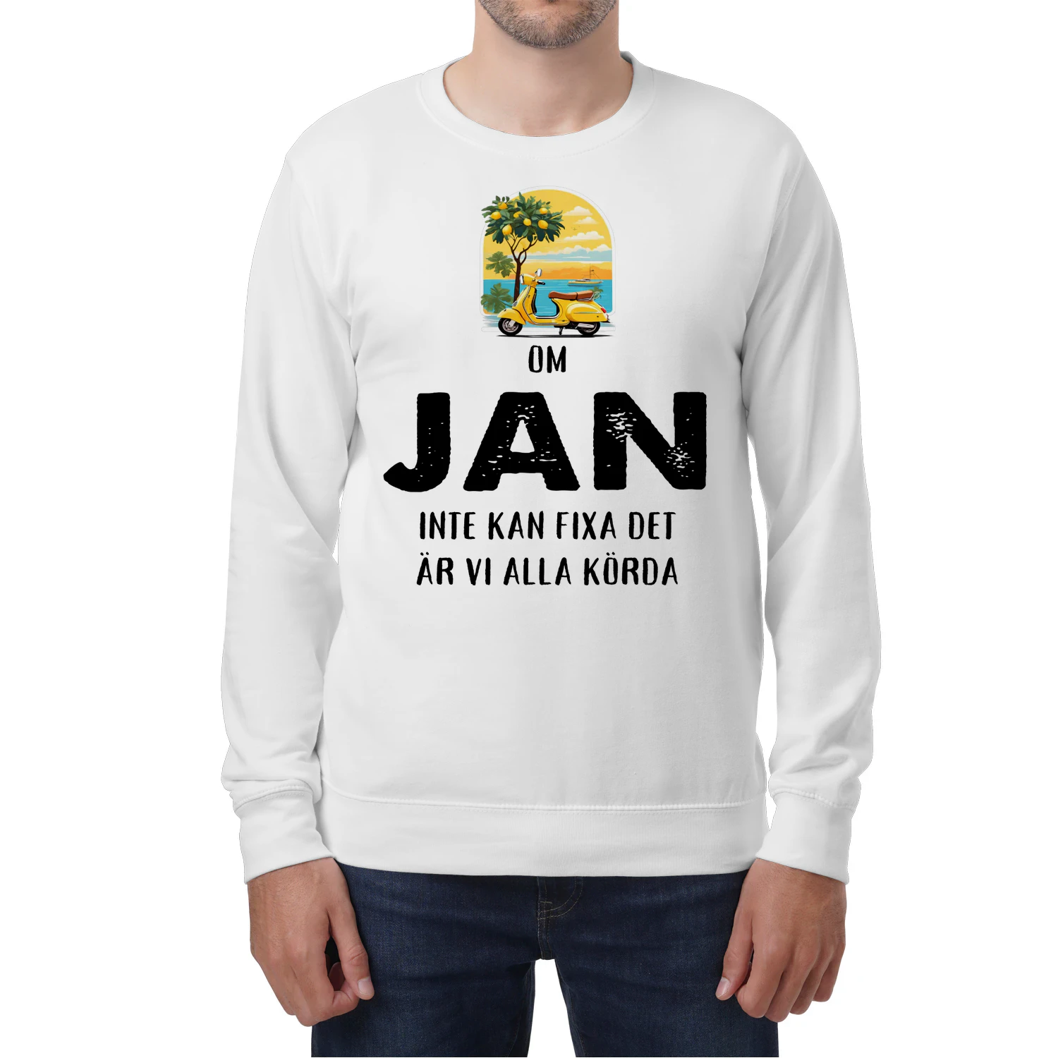jan-thuy11swe-703