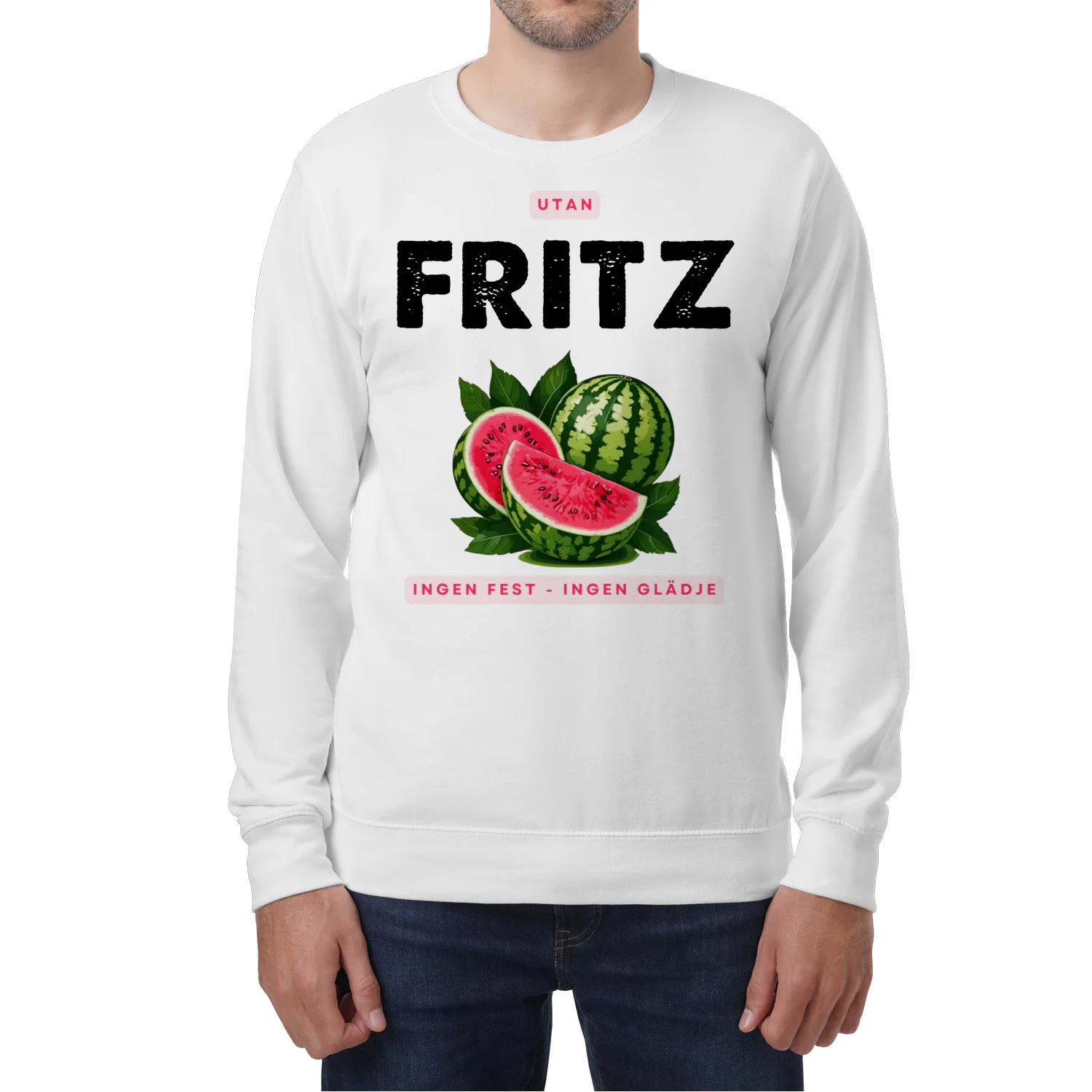 fritz-thuy8swe-643