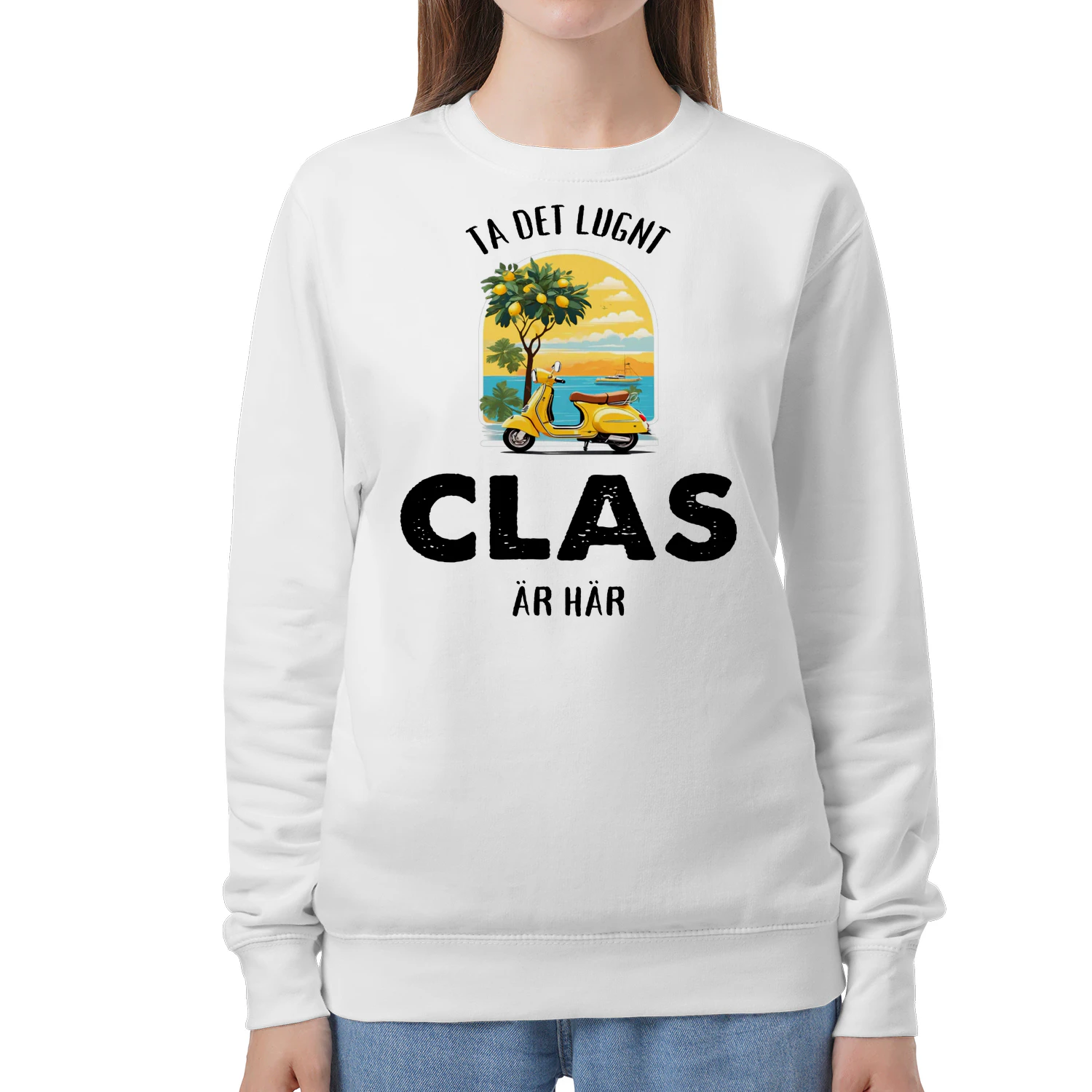 clas-thuy12swe-586
