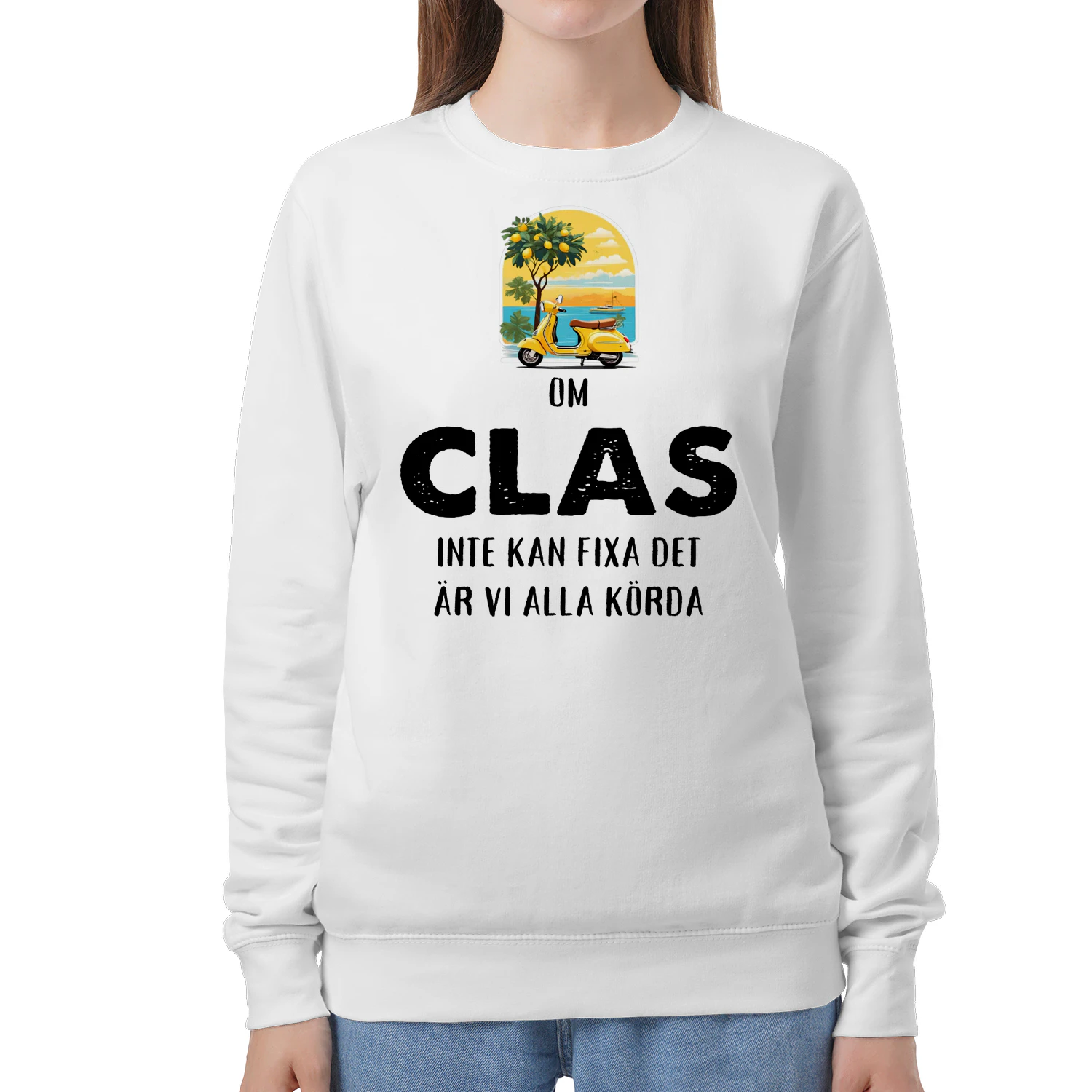 clas-thuy11swe-586