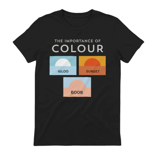 THE IMPORTANCE OF COLOUR