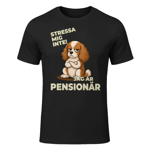 jag är pensionär 5
