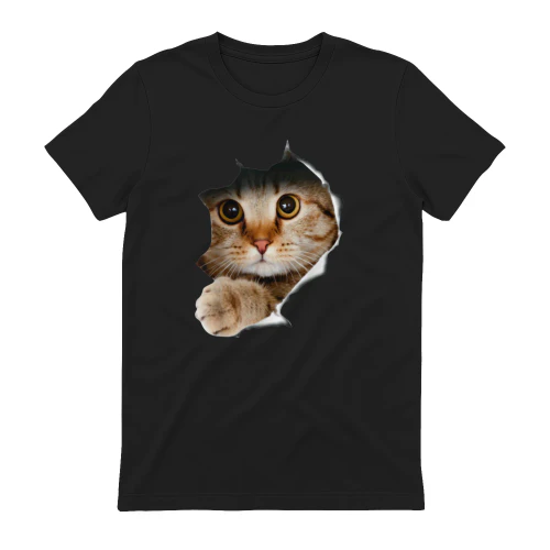 cat-1