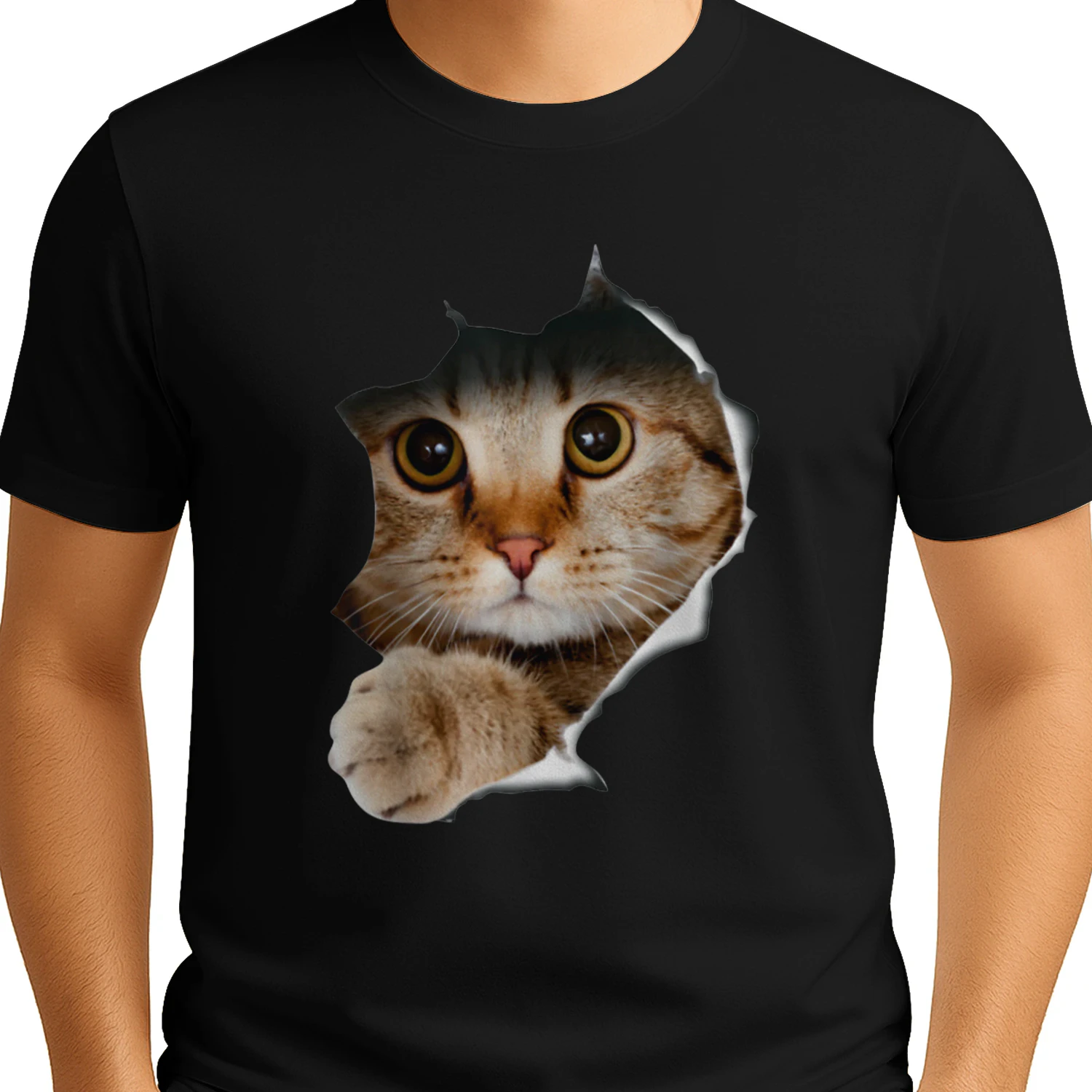 cat-1