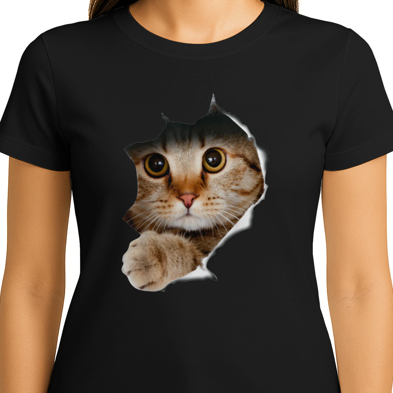 cat-1