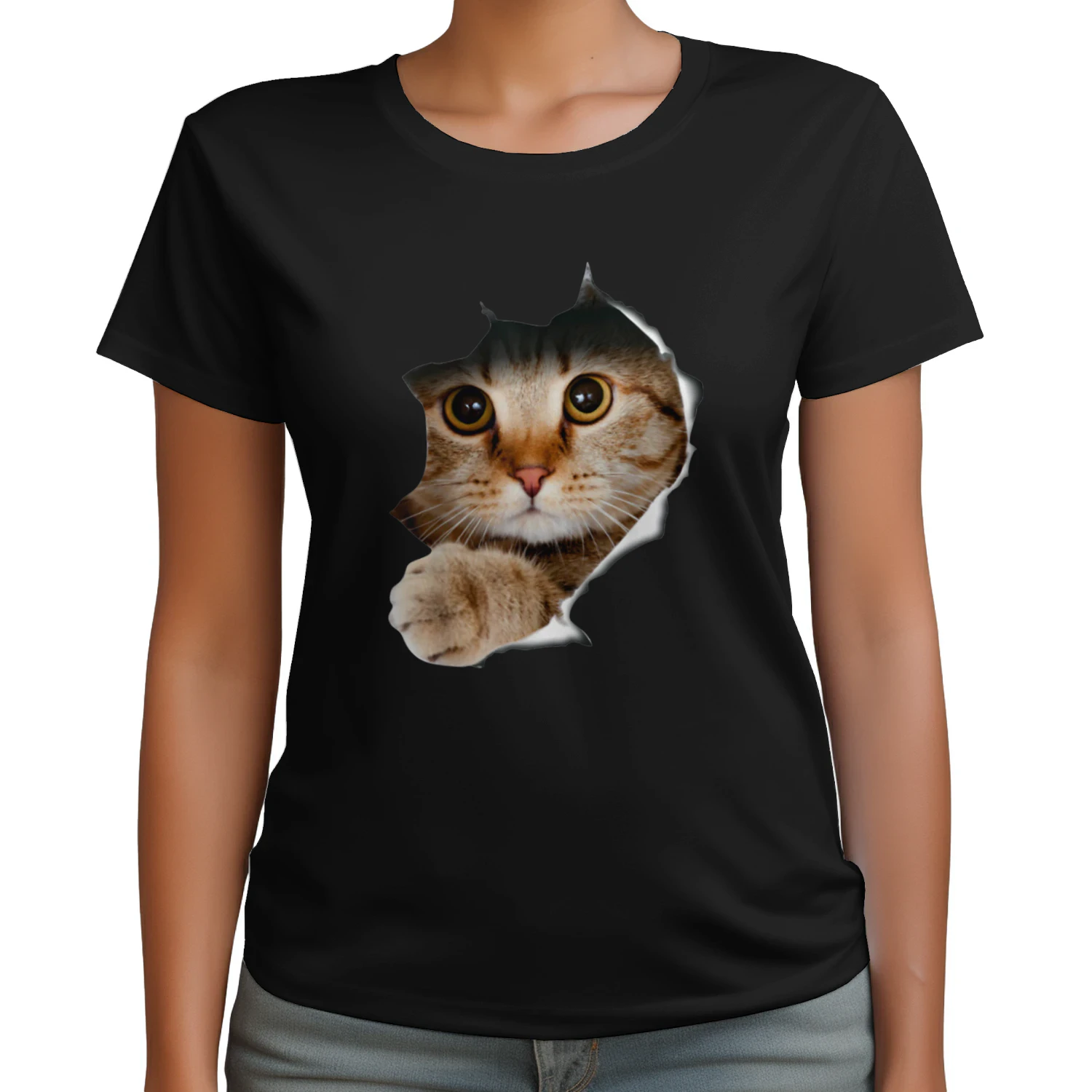 cat-1