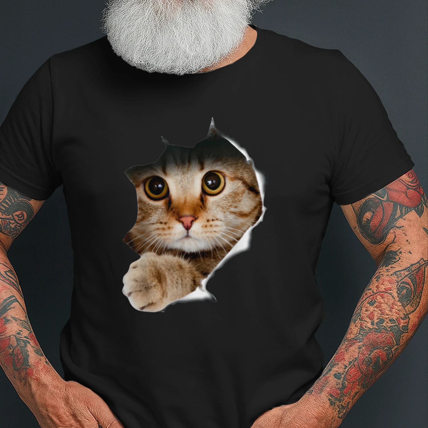 cat-1