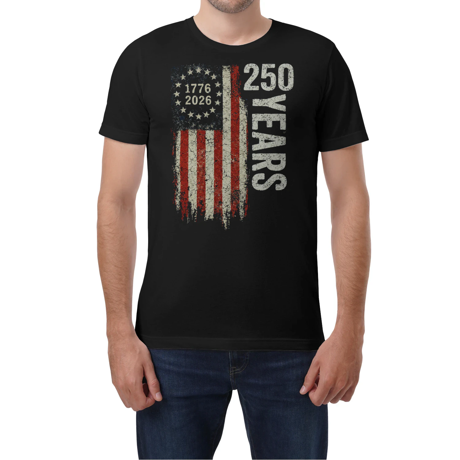 250 Years America Vintage Flag