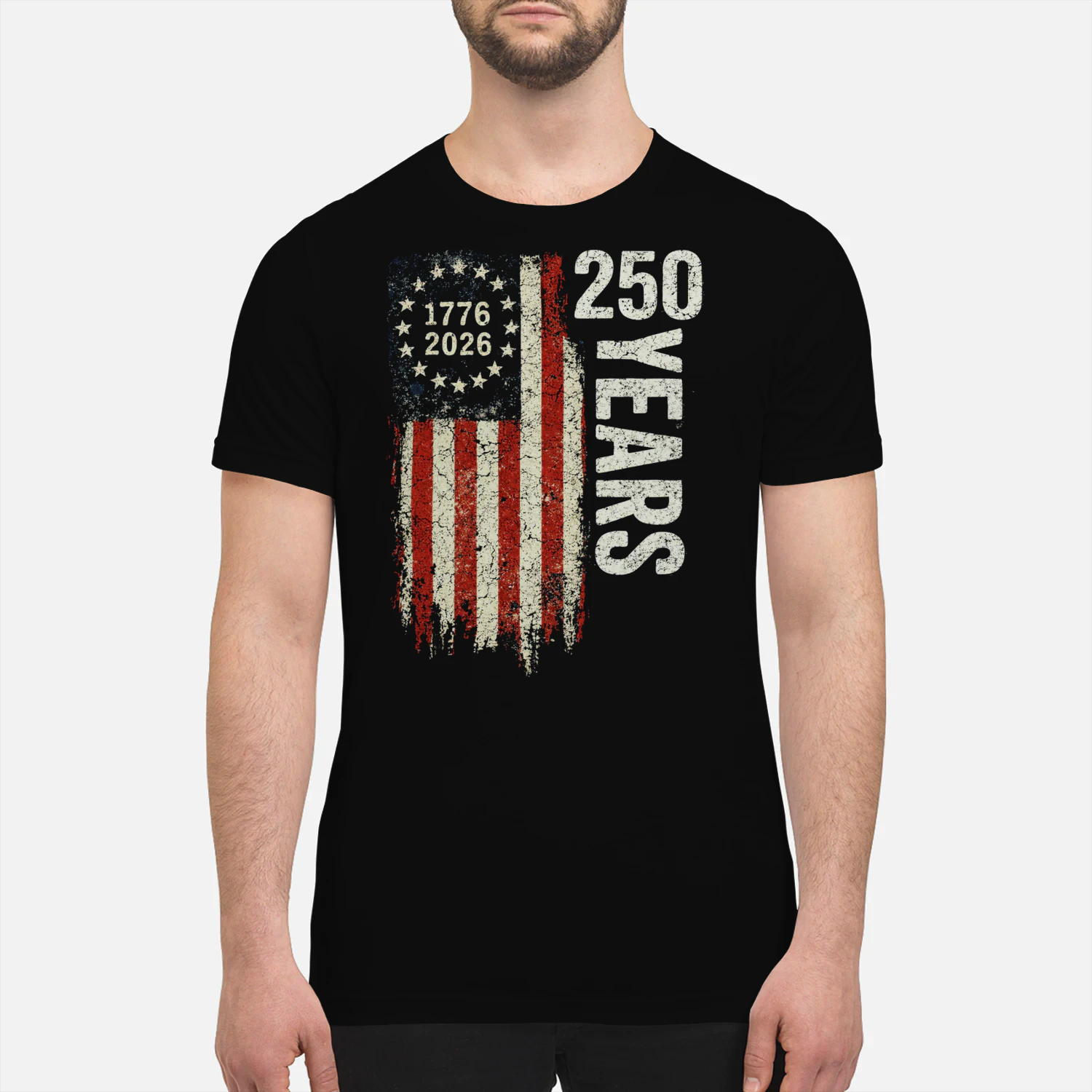 250 Years America Vintage Flag