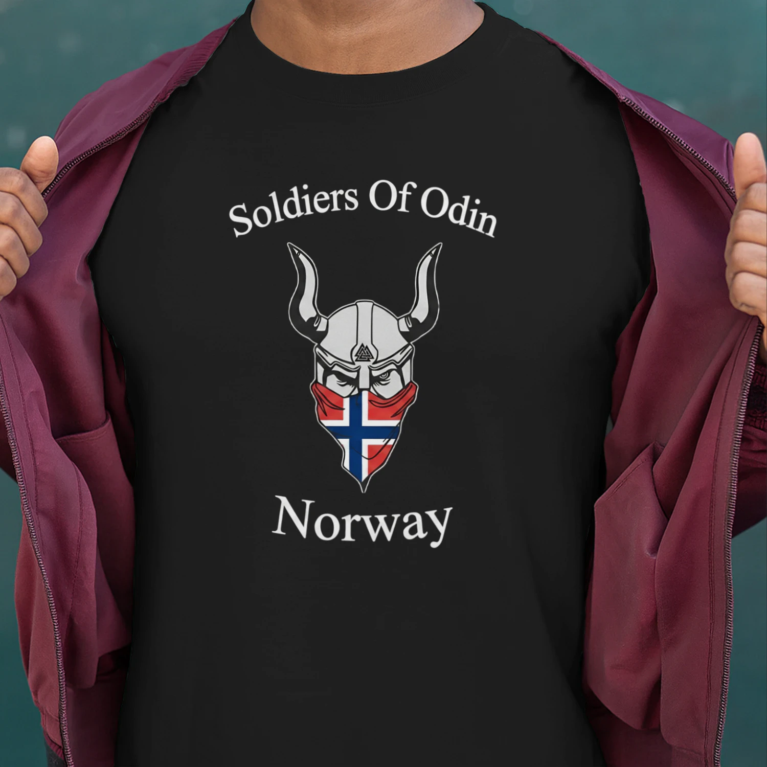 Soldiers of Odin
