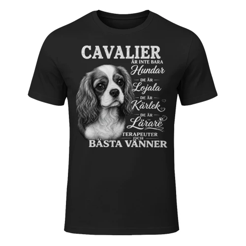 Cavalier t-shirt 