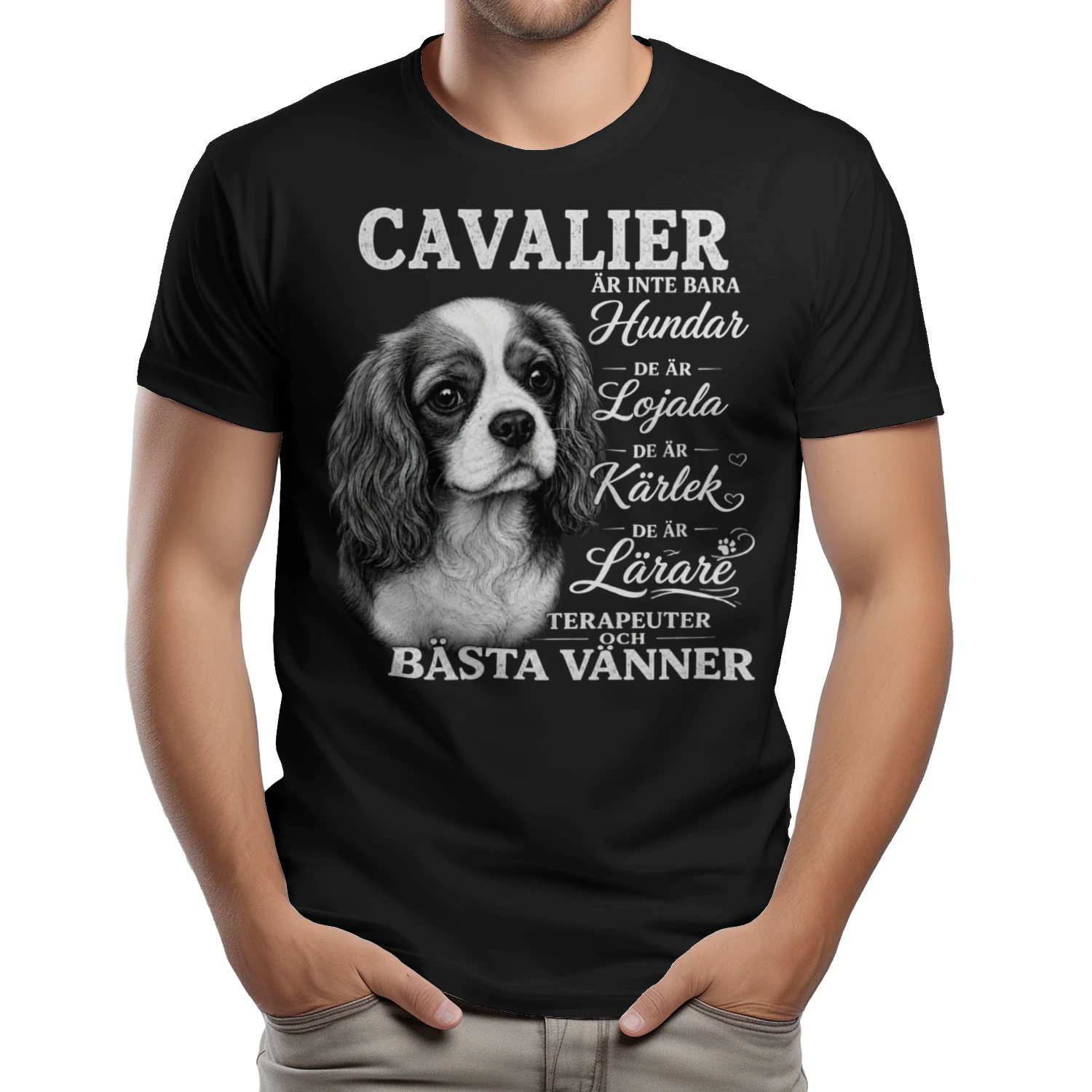 Cavalier 