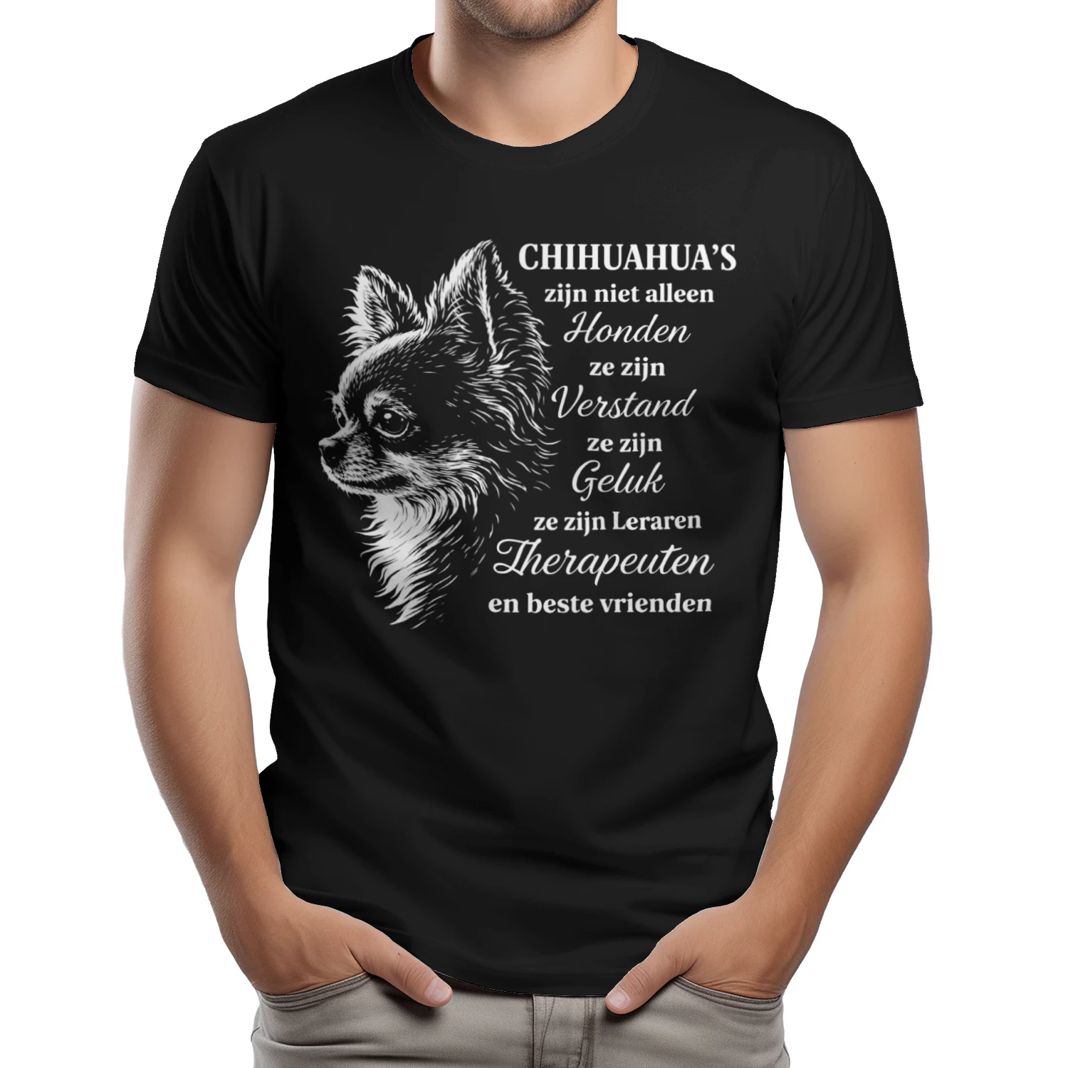 Chihuahua 