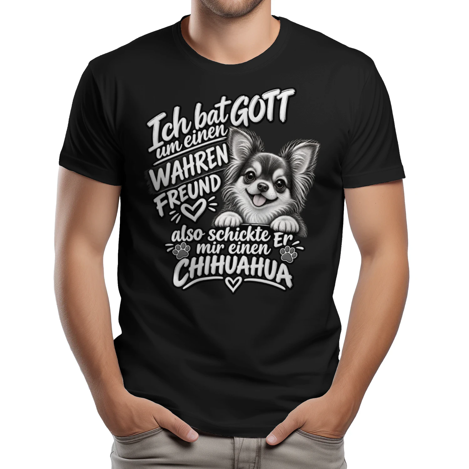 Chihuahua 