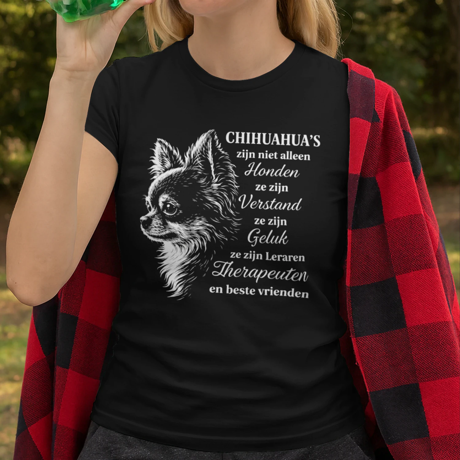 Chihuahua 