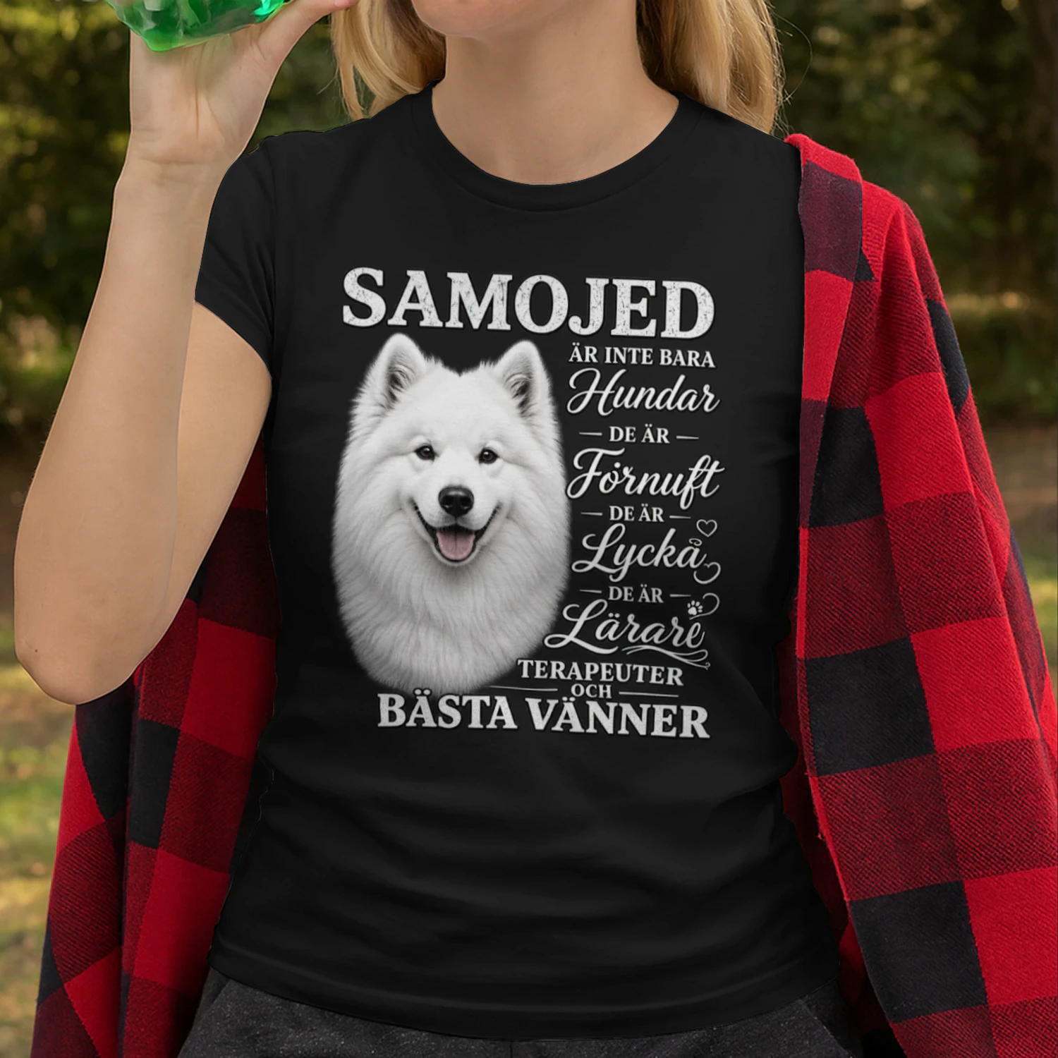 Samojed