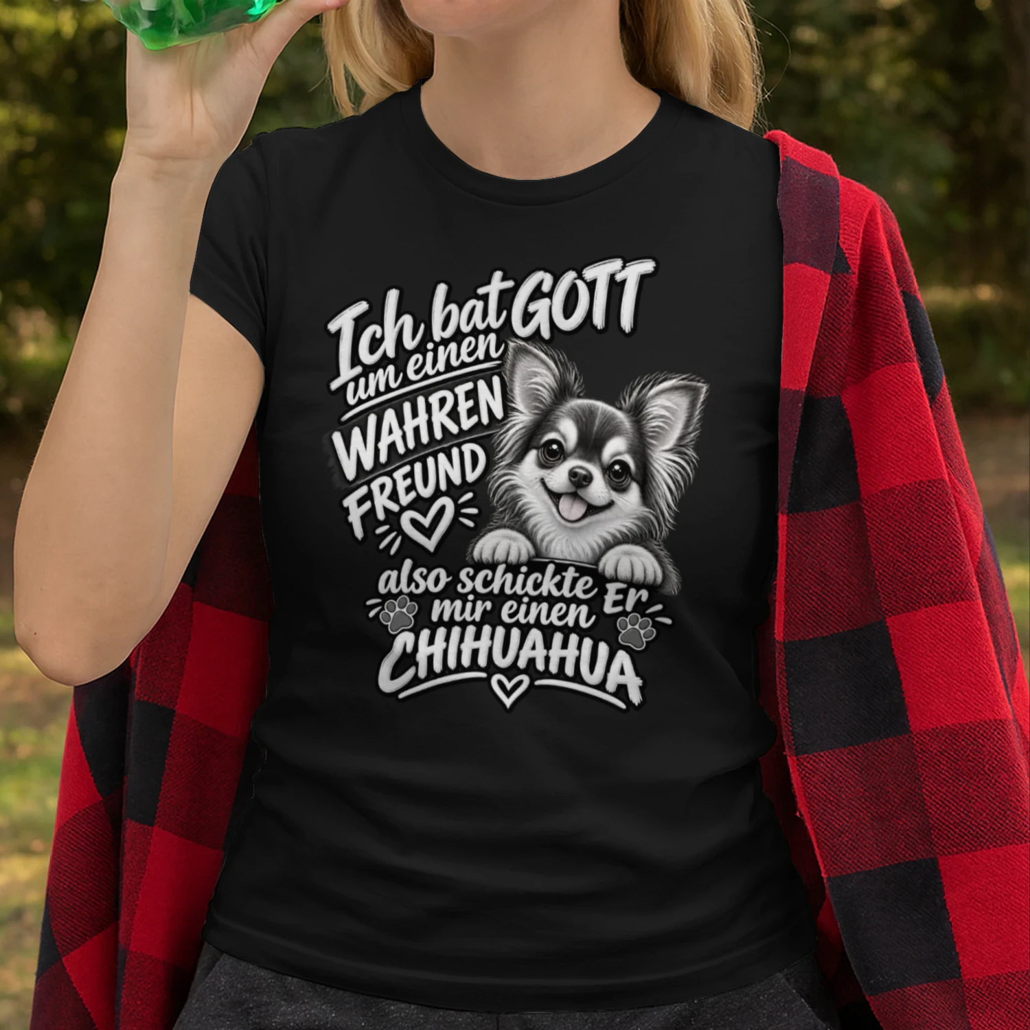 Chihuahua 