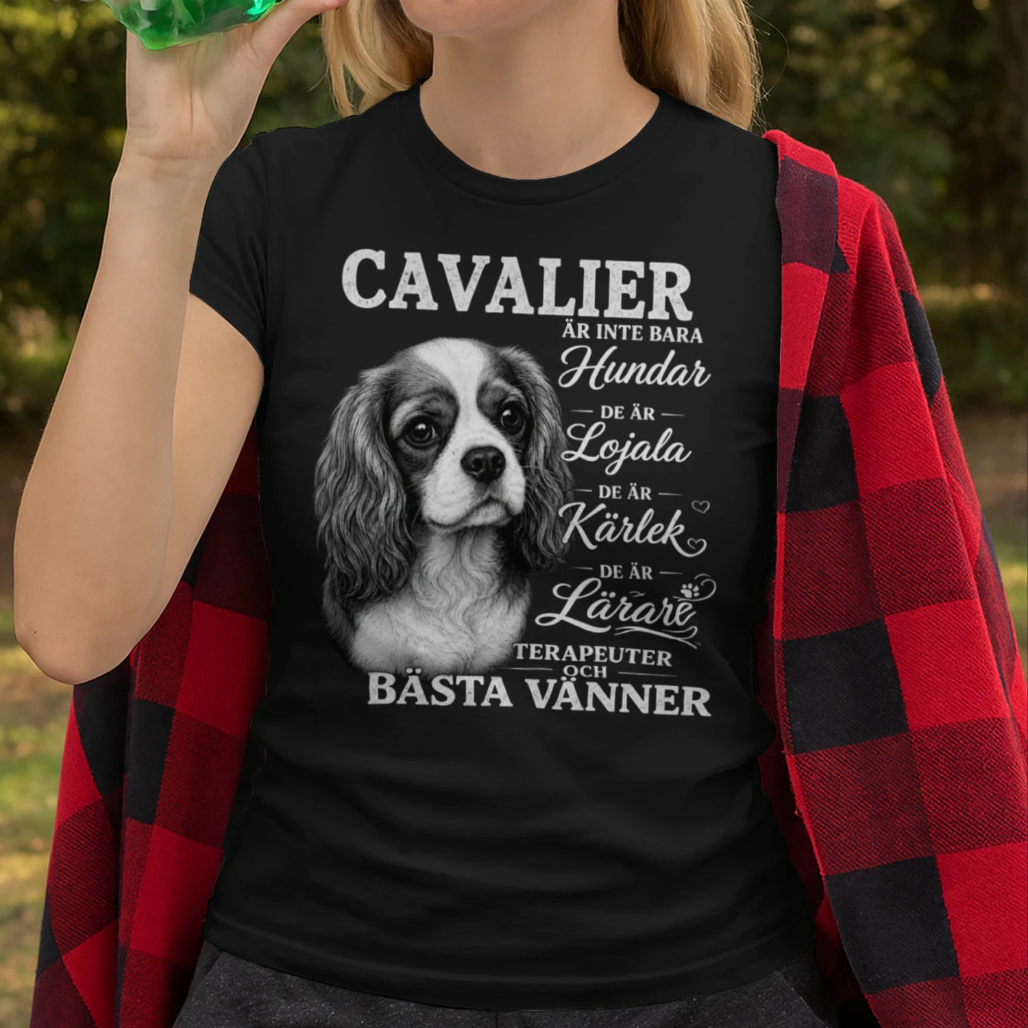 Cavalier 