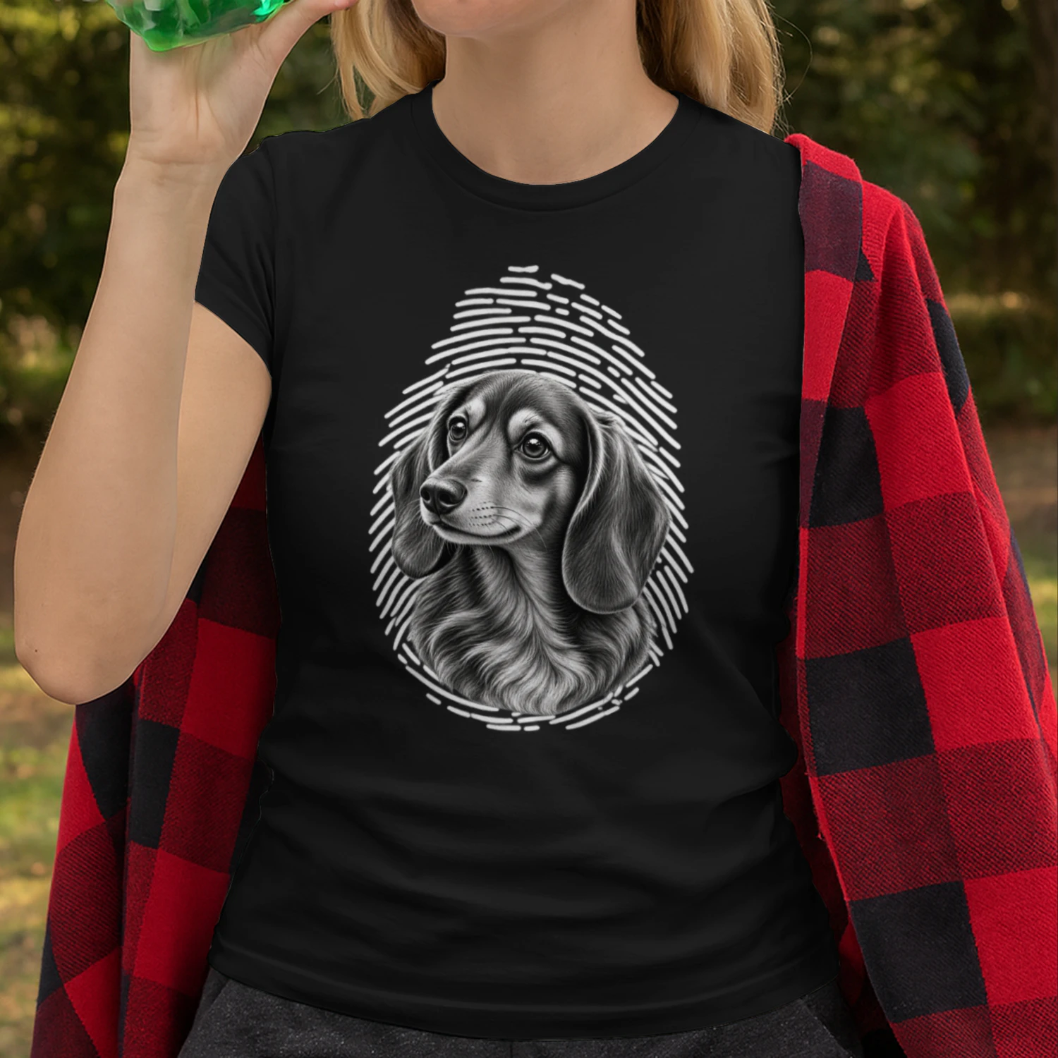 Dachshund 
