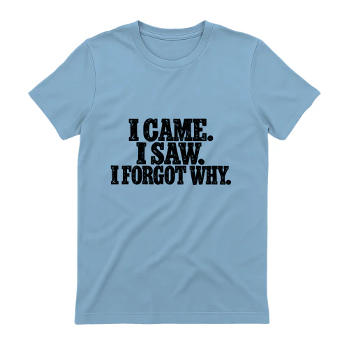 I cam i Saw I forget why 