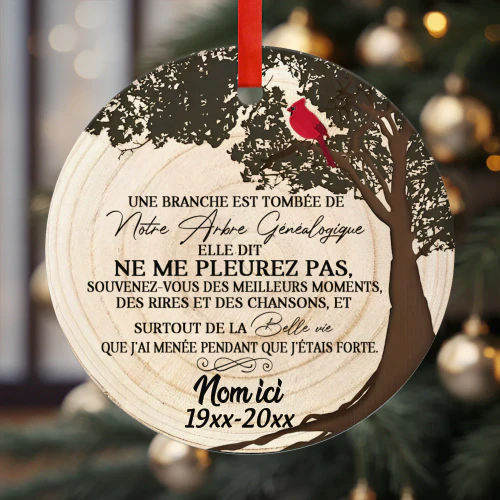 FR - ELLE DIT NE ME PLEUREZ PAS